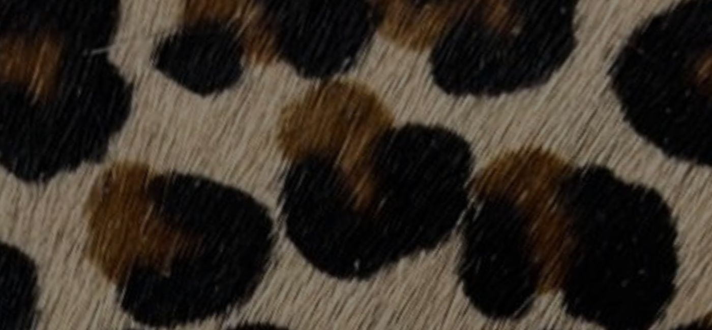 slider image slider_item_dUK9tf